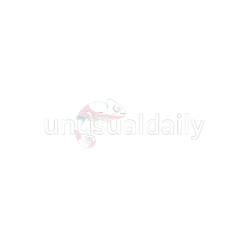News Online